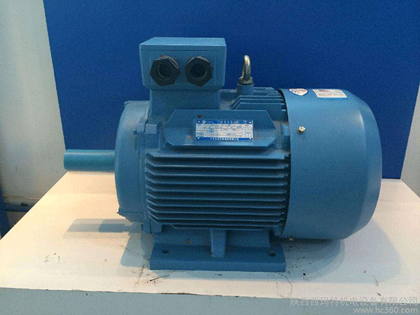 高效節(jié)能電機是西安泰富西瑪未來商業(yè)發(fā)展的方向。